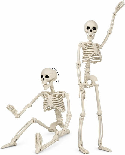 2 PCS 23.6In/60Cm Posable Halloween Skeletons, Decorations Outdoor Indoor