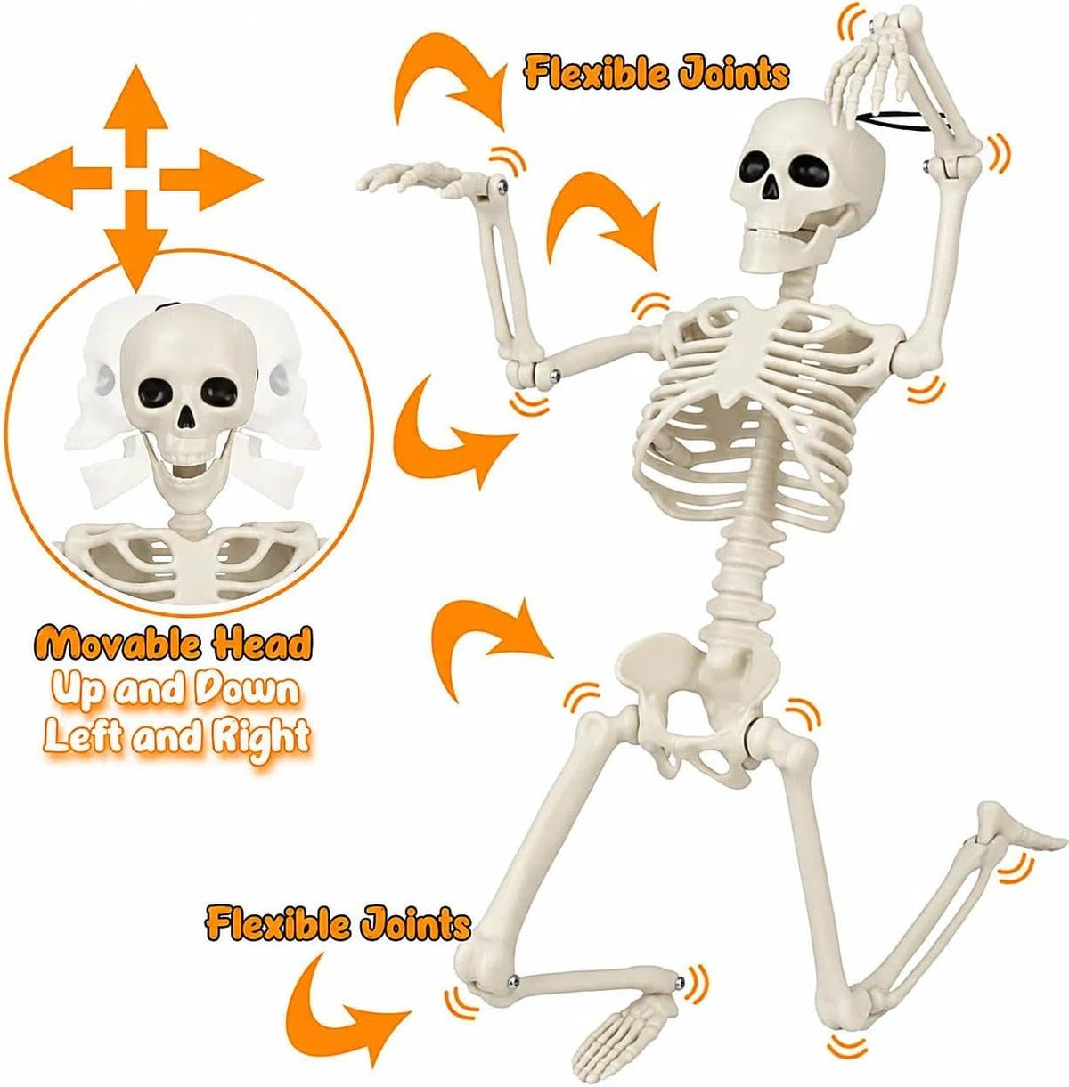 2 PCS 23.6In/60Cm Posable Halloween Skeletons, Decorations Outdoor Indoor